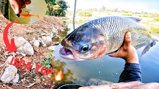 NUNCA SUBESTIME UMA MICRO ISCA😱🔥Ultra light🎣 Pesqueiro Itapecerica [upl. by Kynan688]