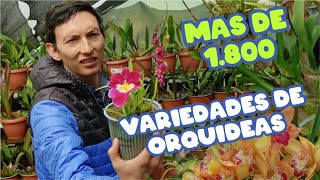 1800 Variedades de Orquídeas en Huaca Ecuador  YeiGuerraM [upl. by Kessel]