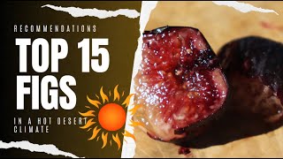 Top 15 Fig Varieties in 2019  AZ 9B [upl. by Merry]