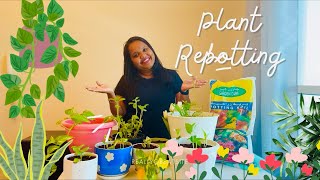 A Day Of Plant Care🌱🇦🇪  A Positive Day  Anjali Sreedharan  Malayalam Vlog  Aesthetic  Dubai🇦🇪 [upl. by Adrial]