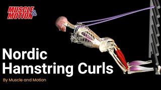 Master the Nordic Hamstring Curl for Stronger Hamstrings [upl. by Asilanom]