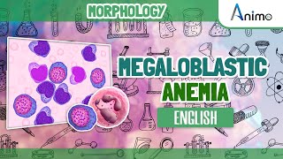 Megaloblastic Anemia  Histo pathology  RBC Morphology  English [upl. by Allekim]