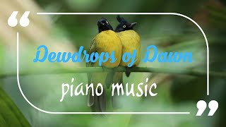 Dewdrops of Dawn  Piano Music [upl. by Zoes]