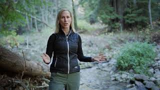 Introduction to Forest Bathing [upl. by Amerigo]