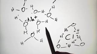 Chemistry of Biology 5  Hydration Shells 6 26 2018 [upl. by Glenden367]