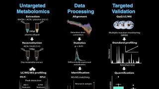 XCMS Institute HILIC Chromotography and Metabolomic study [upl. by Meador935]