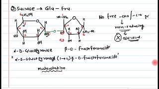 14 Disaccharides [upl. by Sorcim]