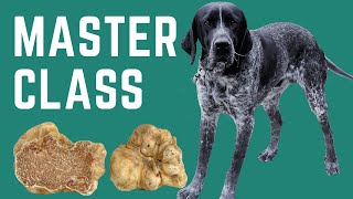 How to Train Your Dog to Hunt Truffles  Masterclass [upl. by Annaeoj]