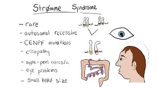 Strømme syndrome [upl. by Aronoel]