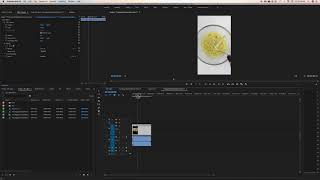 How to Export Vertical Video in Adobe Premiere Pro [upl. by Eigram880]