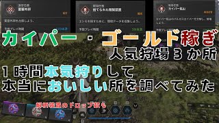 【TFD】カイパー・ゴールド稼ぎで人気狩場と私のおすすめを１時間本気狩りして実際のドロップ数をまとめてみました！コード解除装置のそれぞれのドロップ数も【ファーストディセンダント】 [upl. by Yerot]