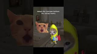 ♥️♥️♥️ kucinglucu memes meme fyp anakkucing pov kucing memeterbaru memerandom cat [upl. by Lon]