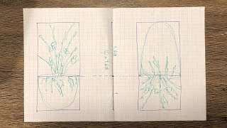 Fibonacci your garden  Golden Ratio in Container Design [upl. by Beaumont]