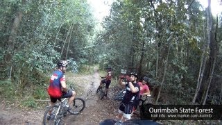 MTBTV  Ourimbah State Forest Group Mountain Bike Ride [upl. by Ailel536]