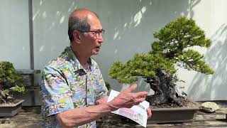 8 Bonsai Journeys  A Bonsai Event At Herons Bonsai Nursery  UK [upl. by Fruma]