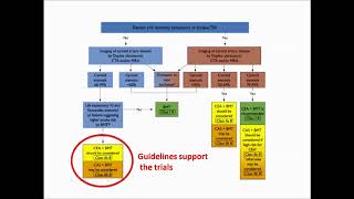 Workshop 1 Carotid stenosis but asymptomatic operate or stent and when [upl. by Gem]