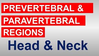 Chp9  Prevertebral amp Paravertebral Regions  Head amp Neck Anatomy  BDC Vol3  Dr Asif Lectures [upl. by Nitas]