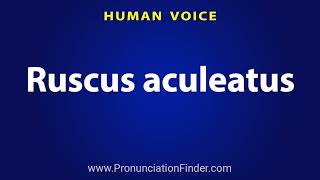 How To Pronounce Ruscus aculeatus [upl. by Hjerpe]