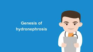 How to diagnose hydronephrosis with the help of ultrasound [upl. by Mylo]