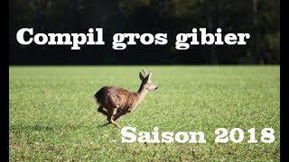 Compil gros gibiers fin de saison [upl. by Wehner241]