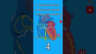 Electrocardiograma interpretación  ¿Qué origina la onda U en el trazo del electrocardiograma [upl. by Leah]