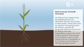 Steigerung des Proteingehalts von Weizen [upl. by Ahsienyt]