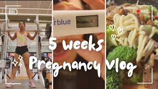 5 weeks pregnancy vlog pregnancy symptoms at 5 weeks [upl. by Assecnirp]