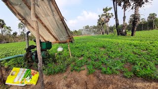 sprinkler system for groundnut field using 35 HP comet diesel engine [upl. by Zabrina302]