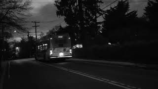 NICE Bus 1978 on the N21 in Sea Cliff [upl. by Issor797]