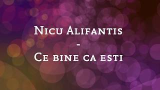 Nicu Alifantis  Ce bine ca esti versuri lyrics karaoke [upl. by Hsepid]