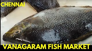 Chennai Vanagaram Fish Market  Part 03 [upl. by Adnihc]