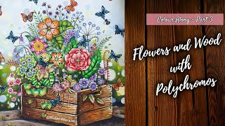 flower box colour along 🌷 🌱 🪻 \ world of flowers  part 2 [upl. by Carn]