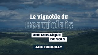 Brouilly cru du Beaujolais  Le vignoble du Beaujolais une mosaïque de sols [upl. by Alraep]