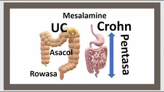 Quelle est la différence entre la RCH et la maladie de Crohn  Le Pentasa la Mésalamine 3 Minutes [upl. by Iror503]