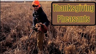 Thanksgiving Pheasant Hunt in South Dakota [upl. by Lucio884]