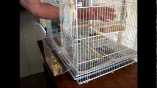 Tidy Seed NoMess Bird Feeder Full Demonstration [upl. by Luemas]