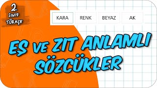 Eş ve Zıt Anlamlı Sözcükler 📙 2Sınıf Türkçe 2024 [upl. by Travus]