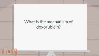 What is the mechanism of doxorubicin [upl. by Ahsema346]