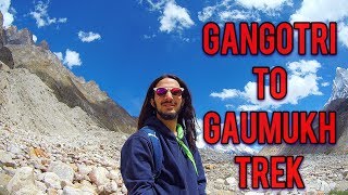 Gangotri To Gaumukh Trek 2017 Full Details In Hindi [upl. by Rumney]