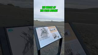 The Wreck of the Peter Iredale shorts travel oregon ship shipwreck beach [upl. by Hetti263]