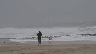 Storm Dennis rain and gales at Poole Harbour Sandbanks and Bournemouth 15Feb20 [upl. by Genie]