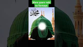 hamare pyare Nabi ne farmaya [upl. by Greenlee695]