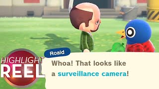 Highlight Reel 543  How To Spy On Your Animal Crossing Town [upl. by Elleirua]