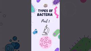 Types of bacteria and their classification Part 1 bacteria bacteriatypes microbiology bacteria [upl. by Aitercal]