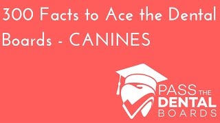 300 Dental Anatomy Facts PART 3  CANINES  NBDE Part 1 [upl. by Babbie]