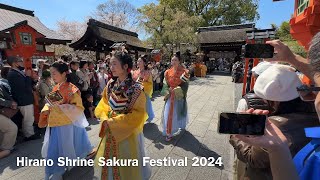 Kyoto 4K Sakura  ĺąłé‡ŽçĄžç¤ľ ćˇśčŠ±çĄ­ Hirano Shrine Sakura Festival April 10 2024 Hiranojinja Okasai [upl. by Buchanan375]