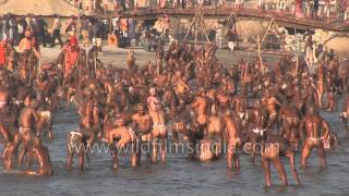 Best of Allahabad Kumbh mela  Worlds largest religious gathering [upl. by Rellim]