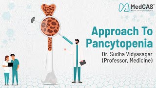 Approach to Pancytopenia by Dr Sudha Vidyasagar Professor Medicine [upl. by Ailhad311]