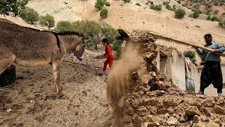 Continuing the Demolition of the Old House by Father and Feeding Uml the Young Donkey🫏🏡⛏️ [upl. by Zach]