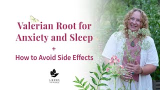 Valerian Root for Anxiety and Sleep  Avoid Valerian Root Side Effects [upl. by Isawk]